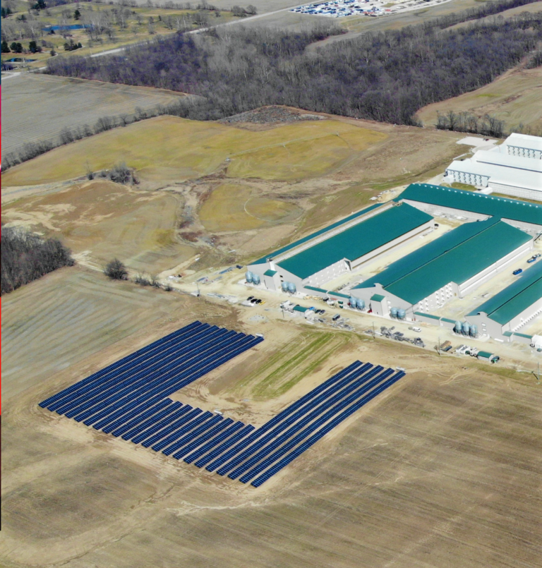Sunny Side Up 1.1mW Solar at MPS Egg Farms by PSG Energy Group